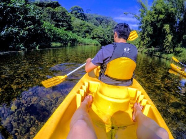 WhatsApp Image 2019-10-05 at 20.44.54 (1)